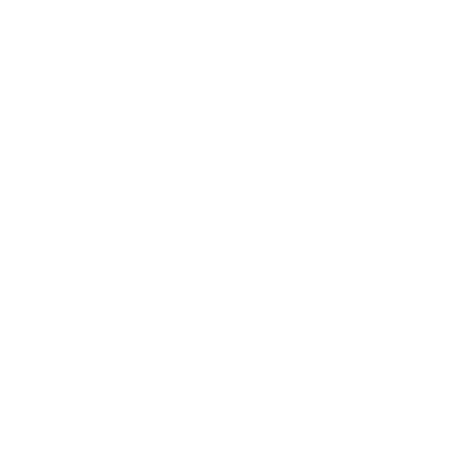 Largest Auto Network